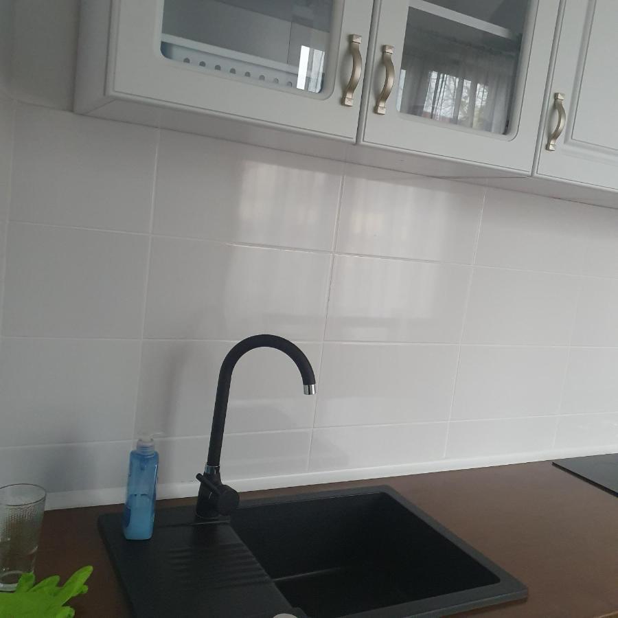 オラデア Casa Isaヴィラ エクステリア 写真